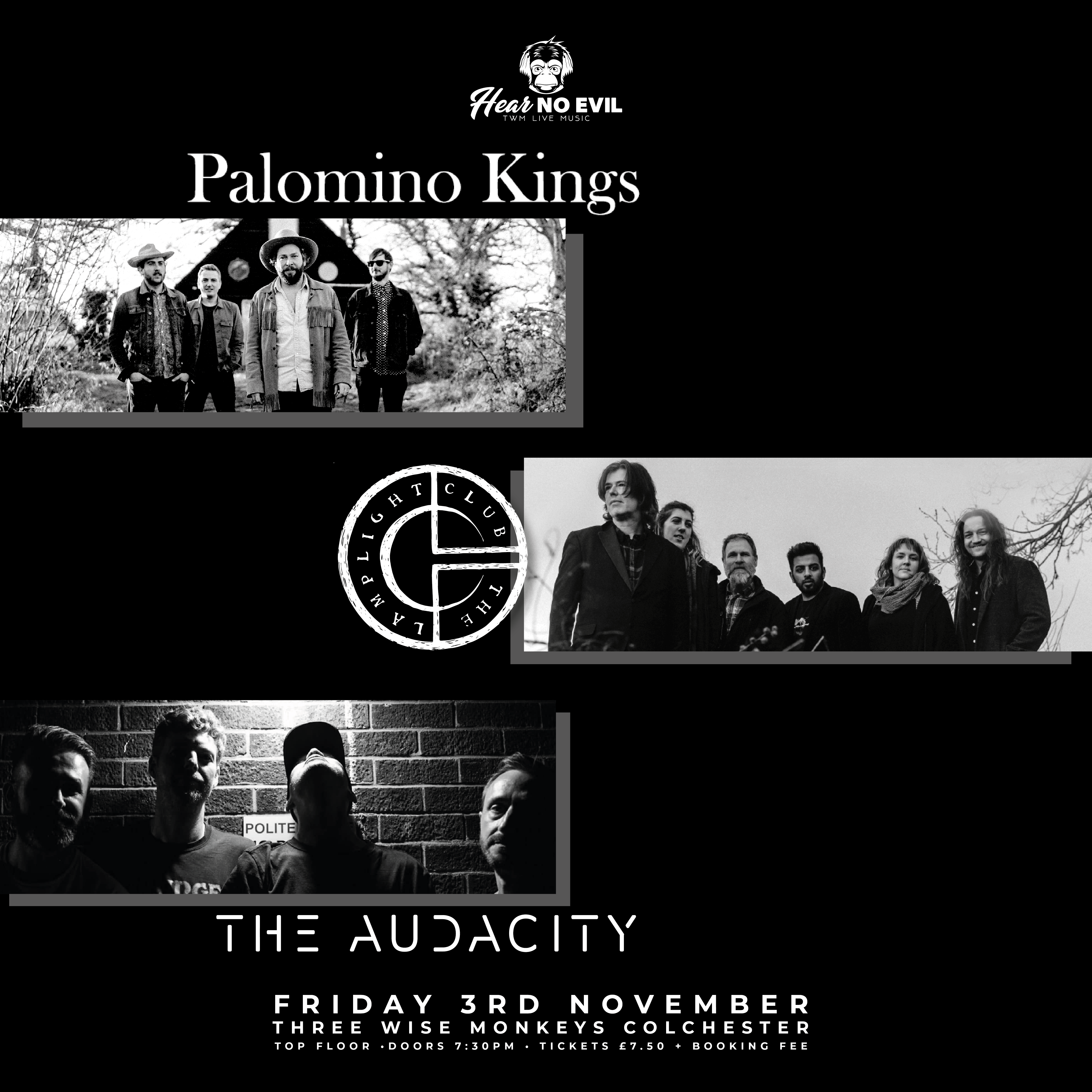 TWMc Lightlight Club, Audacity, Palomino 3-11-23-02