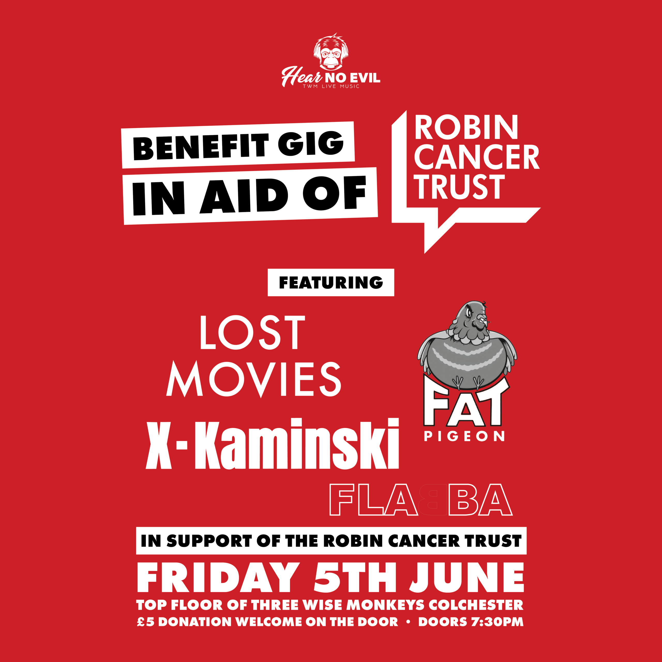 The Robin Cancer Trust Benefit Gig featuring Lost Movies, Fat Pigeon, X-Kaminski and Flabba